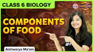 Components of Food  Class 6  Biology  EXAMEDGE [upl. by Osmund144]