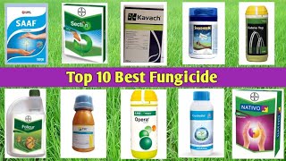 Top 10 Best Fungicide [upl. by Einhorn667]