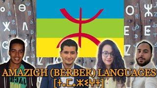 Can Amazighs Understand Each Other [upl. by Nesila210]