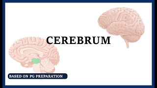 Anatomy of cerebrum [upl. by Oznole]