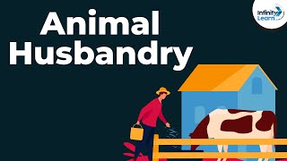 Animal Husbandry and Cattle Farming  Dont Memorise [upl. by Sheply980]