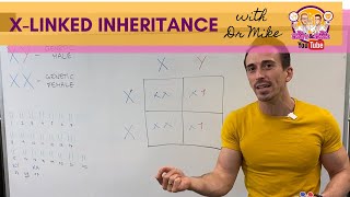 Xlinked inheritance in basic terms [upl. by Eilra340]