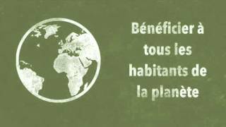 5°  les enjeux du développement durable [upl. by Neerahs]