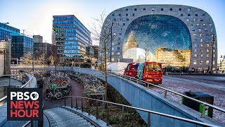 How Rotterdam became a center of architectural experimentation [upl. by Ossie]