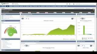 NetSuite Overview and Demo [upl. by Nnyroc]