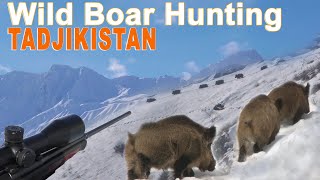 Wild Boar Attila Keiler Hunting with ski in Tadjikistan  2019 Chasse Sanglier Attila [upl. by Assili]