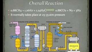 AMMONIA PRODUCTIONavi [upl. by Leiba42]