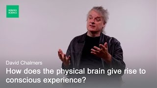 Hard Problem of Consciousness — David Chalmers [upl. by Rodge301]