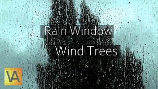 Rain Hitting Window with Wind Through Trees Sound [upl. by Abihsot]