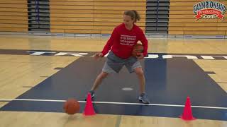 Ball Handling Drills Featuring Danielle Viglione [upl. by Paz296]