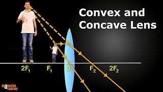 Convex and Concave Lenses [upl. by Odranreb]