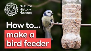 How to Choose the Best Hummingbird Feeder [upl. by Eylatan753]