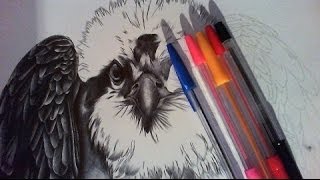 Tutorial Zeichnen mit Kugelschreibern  Drawing with ballpoint pens [upl. by Renee]