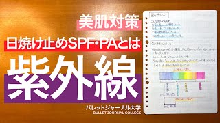 紫外線について【アンチエイジング・日焼け止め・SPF・PA・メラニン色素について解説】 [upl. by Ahsenwahs]