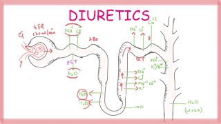 Pharmacology  NSAIDs amp PROSTAGLANDIN ANALOGS MADE EASY [upl. by Suiluj306]