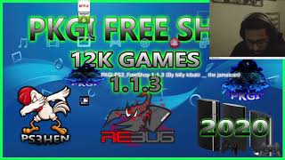 How To Install PKGI Store On Ps3 2020 Updated [upl. by Wanfried37]