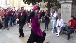 Flamenco dance 7 in Granada 2015 [upl. by Elfrieda]