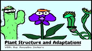 OLD VIDEO Plant Structure and Adaptations [upl. by Eiramassenav157]