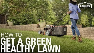 Lawn Care 101 How to Weed Seed Feed Mow amp Water [upl. by Malley]