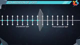 16  Class 12  Physics  Wave Optics  Polarisation [upl. by Nerred]