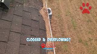 Gutter Cleaning Lanham MD [upl. by Nahtanha]