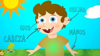 PARTES DEL CUERPO en ESPAÑOL para niños  Vídeos educativos [upl. by Weasner546]