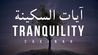 AYAT OF TRANQUILITY  SAKINAH أيات السكينة لدفع الهموم [upl. by Lrac]