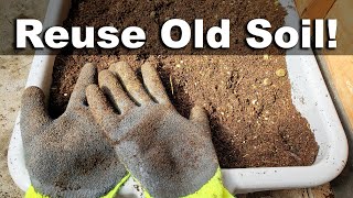 How To Reuse Old Potting Soil  FOUR ways [upl. by Aurelia]