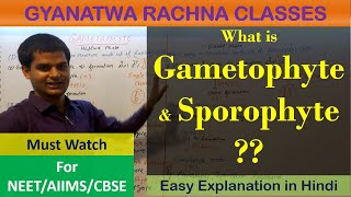 What is Gametophyte amp SporophyteAlternation of generation Biology class 11 amp 12 NCERTNEETCBSE [upl. by Timothy]