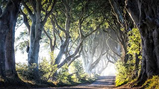 Ireland  The Road Not Taken [upl. by Robbin163]