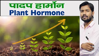 Plant Hormone  प्लांट हार्मोन  पादप हार्मोन क्या हैं  Types of Plant Hormones in Hindi [upl. by Nalda]