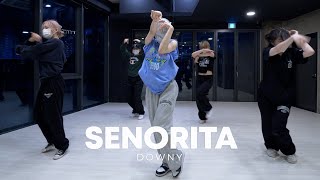 Justin Timberlake  Señorita  Downy Choreography [upl. by Nahtanohj]