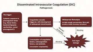 Thrombocytopenia Hemostasis  Lesson 8 [upl. by Amalea733]