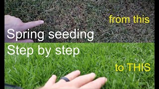 How to GROW GRASS in the SPRING successfully step by step [upl. by Firahs]