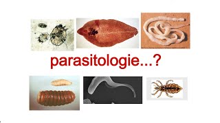 parasitologie 1 quelque notions de base [upl. by Adnuahsar]