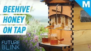 This Smart Beehive Harvests Honey Automatically  Future Blink [upl. by Annairt]