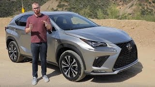 2020 Lexus NX 300 F Sport Test Drive Video Review [upl. by Lehcir]