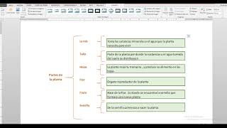 CUADRO SINOPTICO EN EXCEL Y COPIAR A WORD [upl. by Enrica]