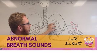 Abnormal Breath Sounds  Respiratory System [upl. by Marigolda552]