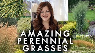 10 Perennial Grasses I Absolutely Love 🌾💚 Garden Answer [upl. by Dougal676]