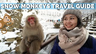 Snow Monkeys of Japan  Jigokudani Monkey Park Nagano Travel Guide [upl. by Noami]