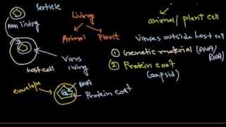 1 virus structure introduction [upl. by Ahsiryt]