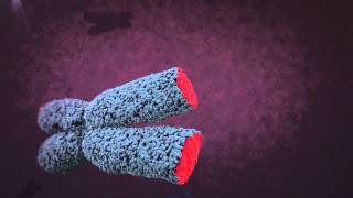 Telomere animation [upl. by Perloff]