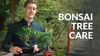 Bonsai tree care [upl. by Ansev977]