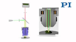 Confocal Microscopy [upl. by Ayahs351]