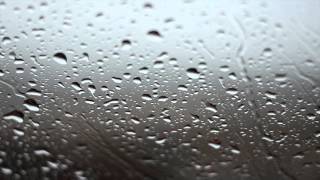 Rainy Day Background Video  No Sound [upl. by Aramoix791]