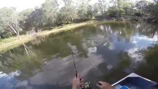 A day fishing the Goulburn river Dec 2014 [upl. by Hilario2]