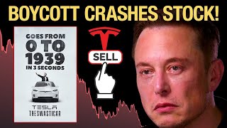 Worldwide Elon Musk Backlash CRASHING Tesla Stock [upl. by Mann174]