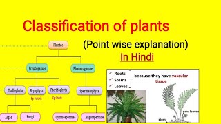 Classification of plants in Hindi  Cryptogam and Phanerogam plantclassification [upl. by Orlantha305]