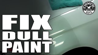 How To Make Dull White Paint Shine  Chemical Guys VSS Polish [upl. by Eisse179]